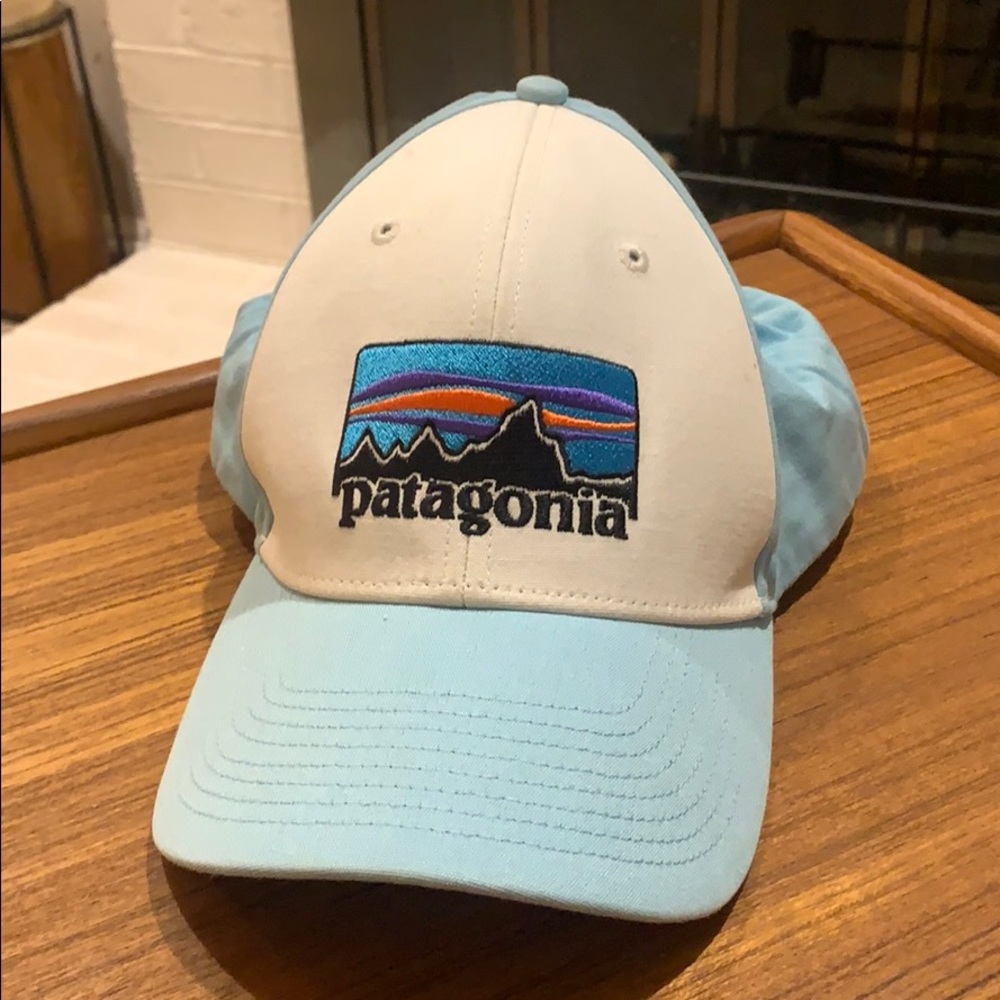 Patagonia ball cap